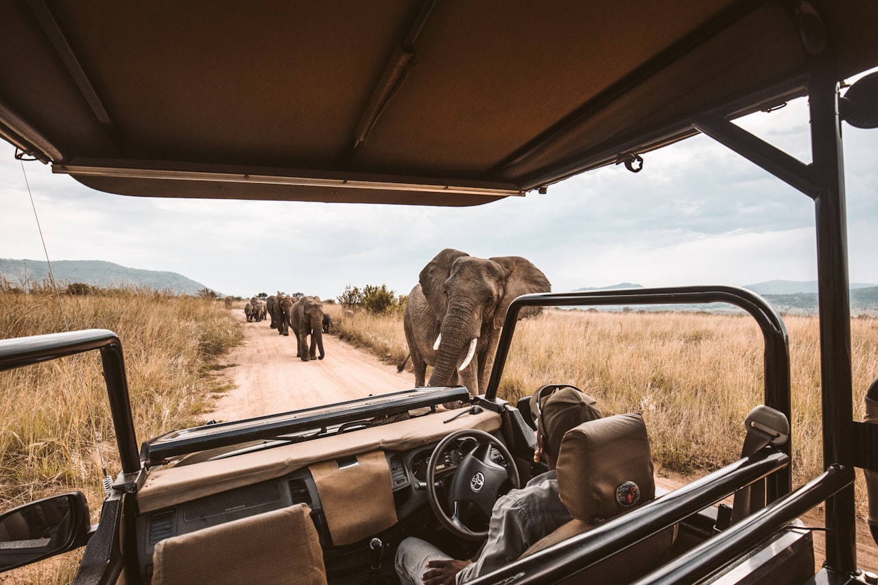 Safari Cars